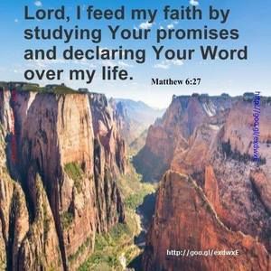 Meet your Posher, Reva